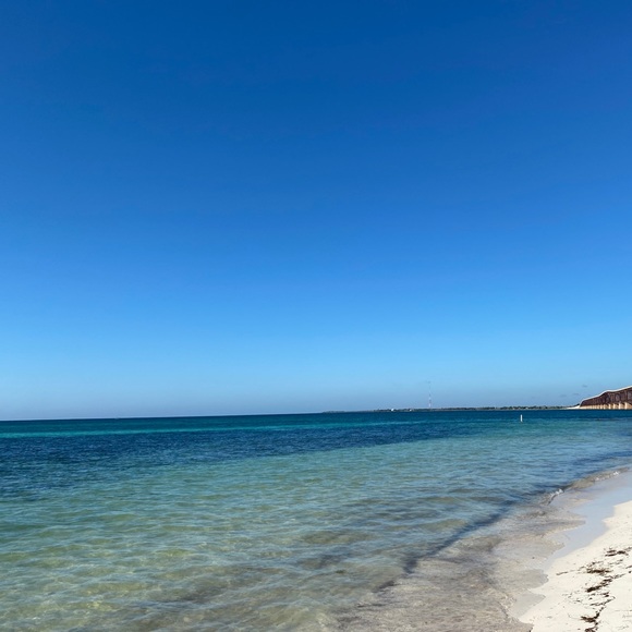 Meet your Posher, Titan - Picture 1 of 1